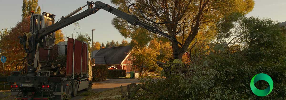 En lastbil i gryningen med en skogsröjar maskin lastad baktill.