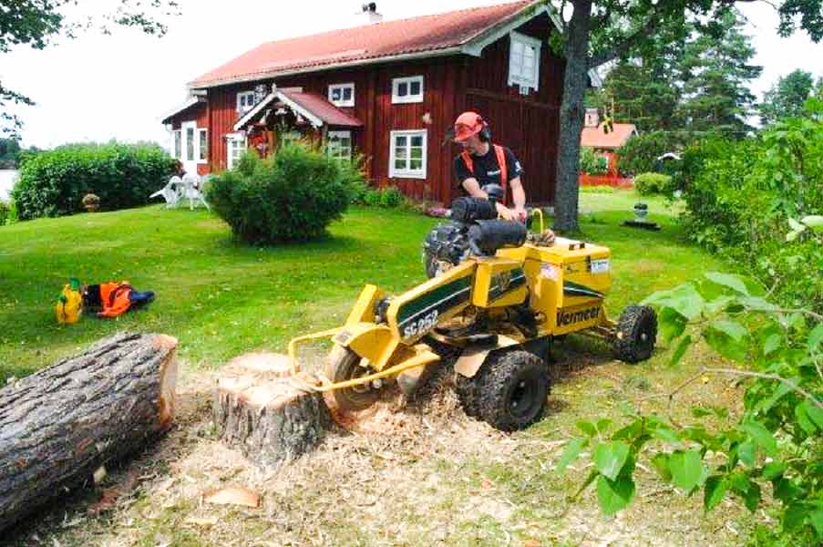 Stubbfräsning med en gul maskin, Johan kör