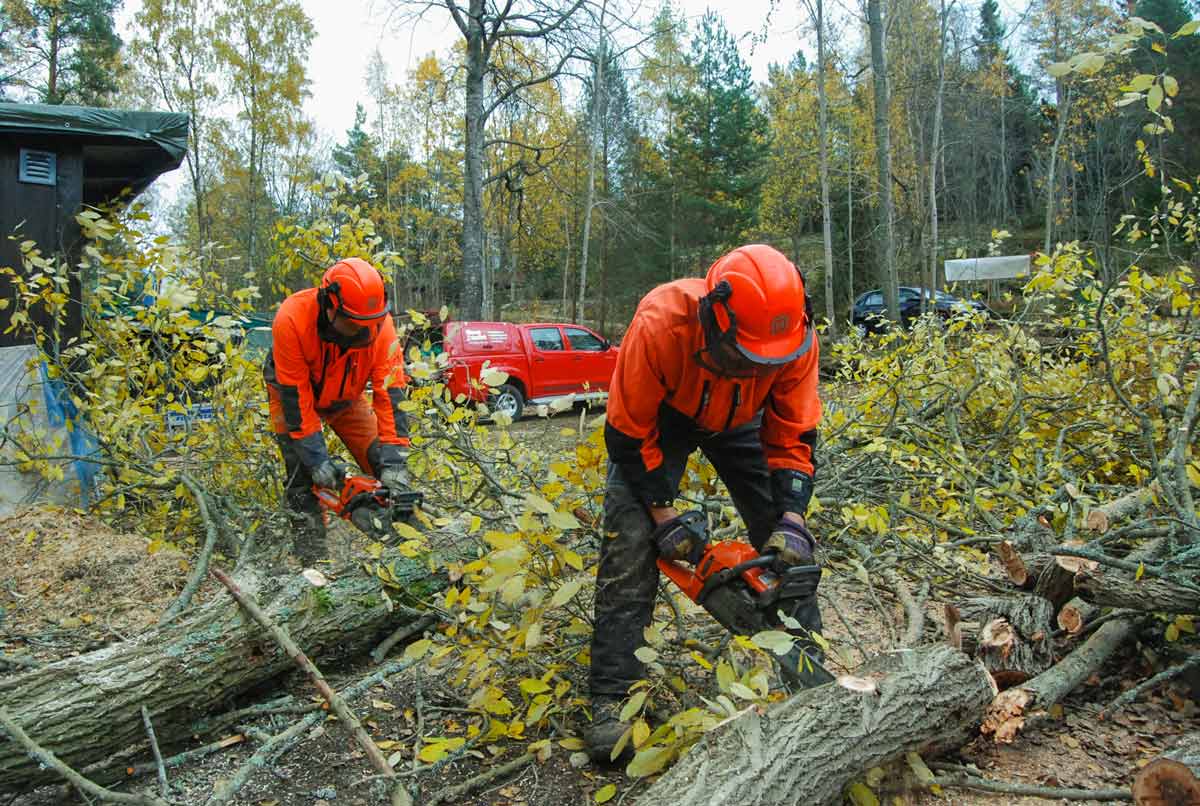 Gruppbild på Tobias, Anders och Johan ute i skogen.